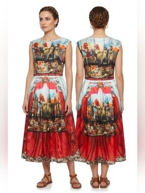 NEW Roman Soldier Print Silk Cotton Dress Renaissance Graphic Historical Art